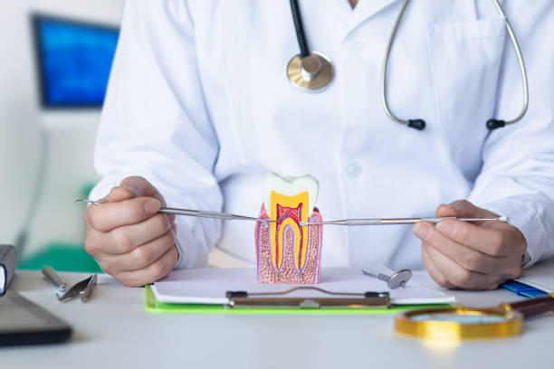 Best Emergency TMJ Treatment in Wesley Chapel, FL